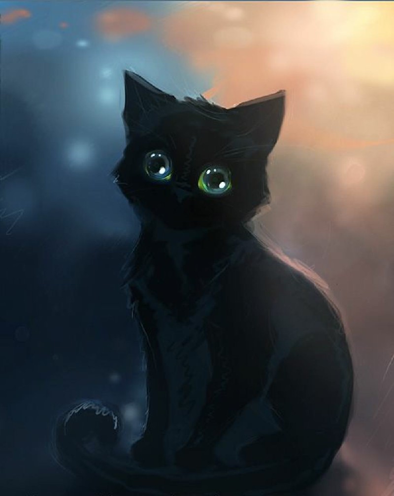 Cập nhật 57+ về hình nền mèo anime mới nhất - cdgdbentre.edu.vn