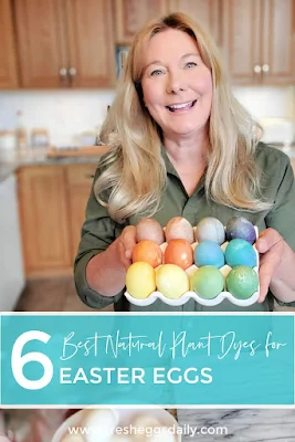 6 best natural plant dyes for Easter eggs