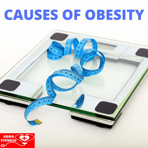 What Causes Obesity Why are you Obese What Causes Obesity Why are you Obese
