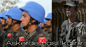 dolarne olur vercel app