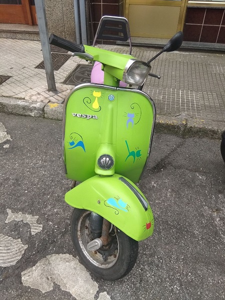 moto-gatitos