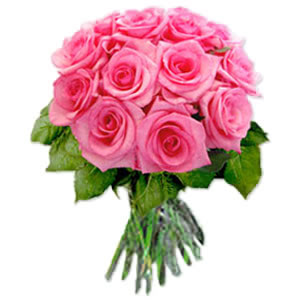 12_Pink_Roses_4c96c8020e7d8.jpg
