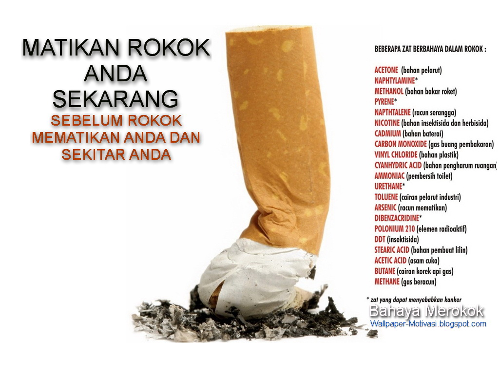 Gambar Dan Kata Kata Lucu Tentang Rokok Stok Gambar Lucu