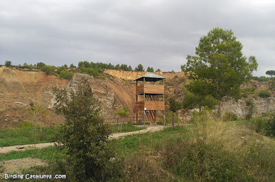 Mirador del Pèlag Gran