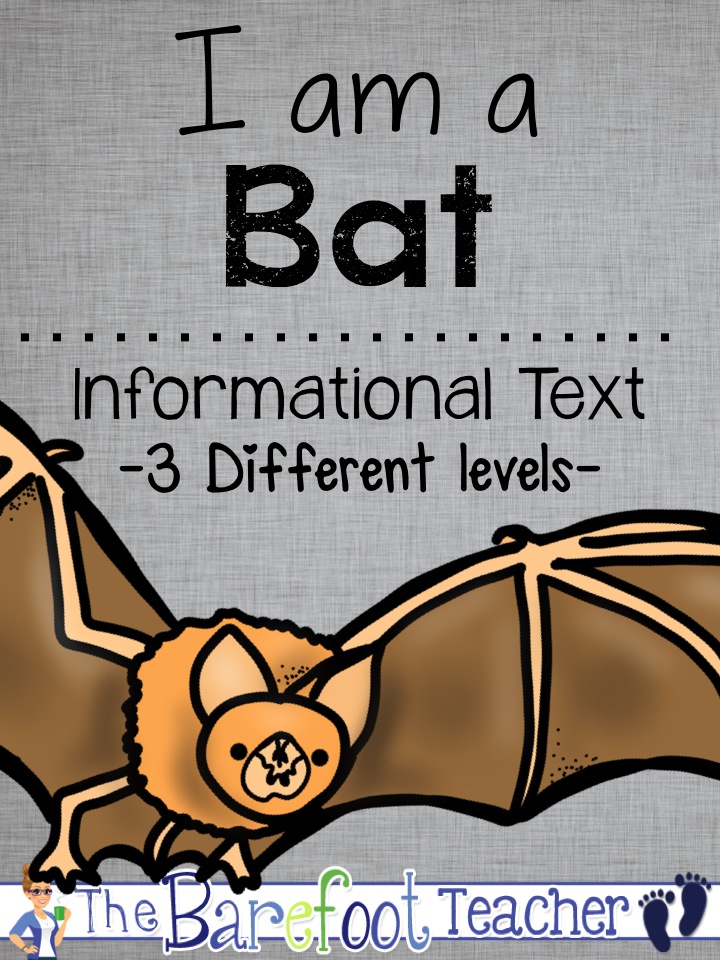 Bats Nocturnal Animals Differentiated Readers {Plus a FREEBIE!} The
