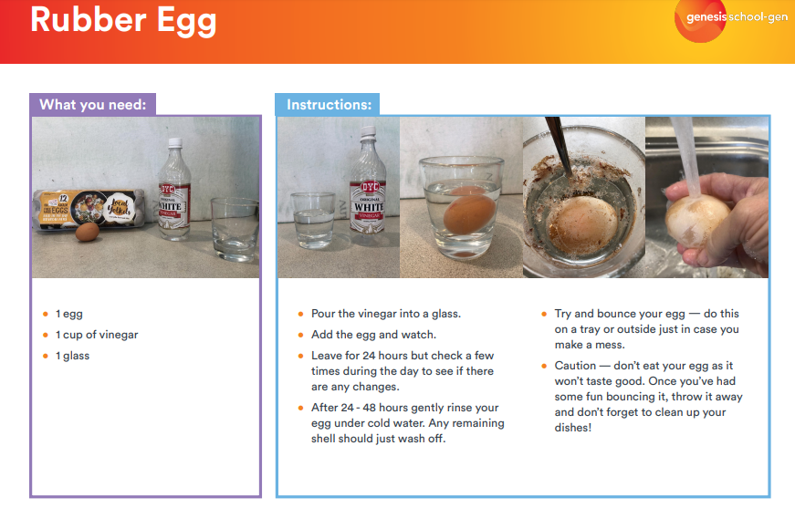 Room 6 Class Blog - Teacher: Rachael O'Shea: Rubber Egg experiment