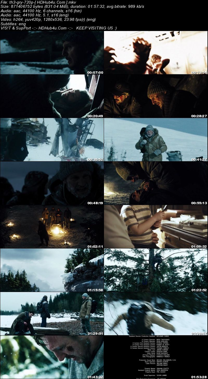 The Grey 2011 Hindi Dual Audio 720p BRRip ESub 800Mb Download