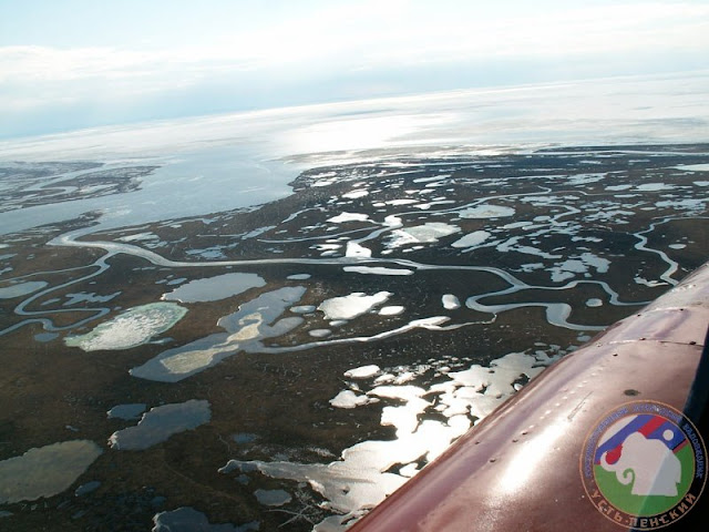 Vista aérea de lagos continuos en la reserva Ust'-Lenskiy