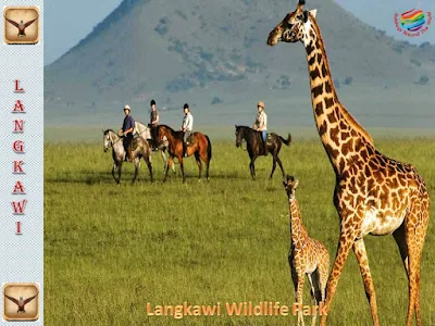 Langkawi wildlife Park