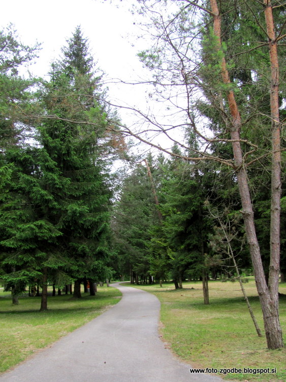 Juliana Trail - Šobec -Šobčev bajer Slovenija, Gorenjska