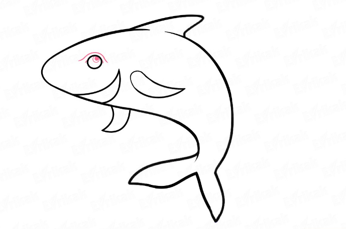 Cara Menggambar Hewan Laut Terlengkap Untuk Anak