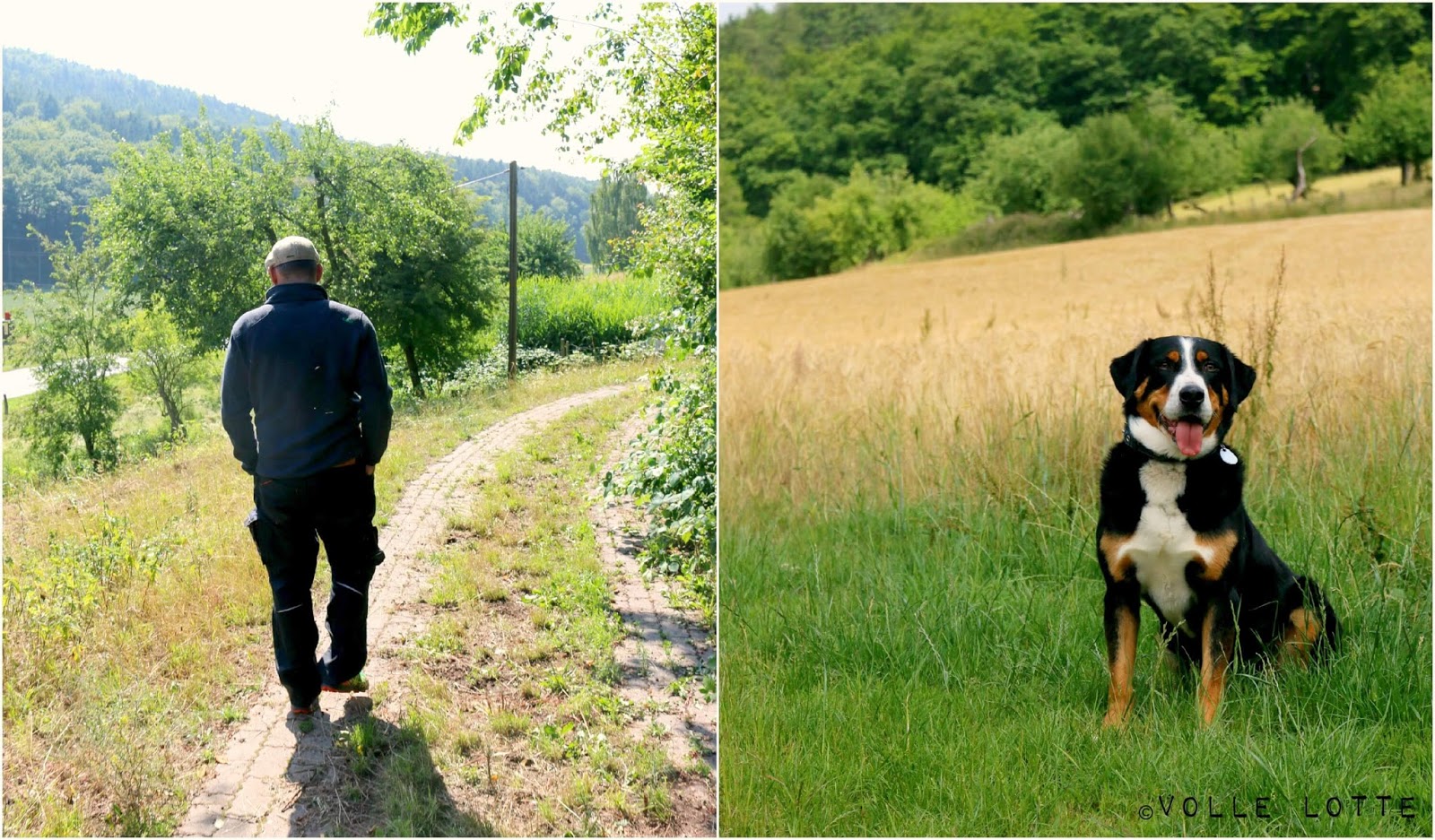 Amor Kartoffelsack Regionales Gemuse Aus Dem Gewachshaus Im Nurnberger Knoblauchsland