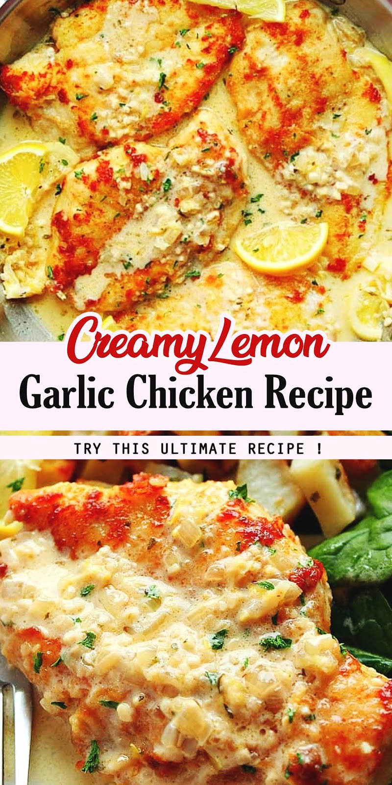 Creamy Lemon Garlic Chicken Recipe - RECIPE BEMBLOO