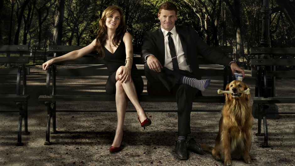 Watch Bones Season 8 Episode 16 Online "The Friend in Need" Review | Tv