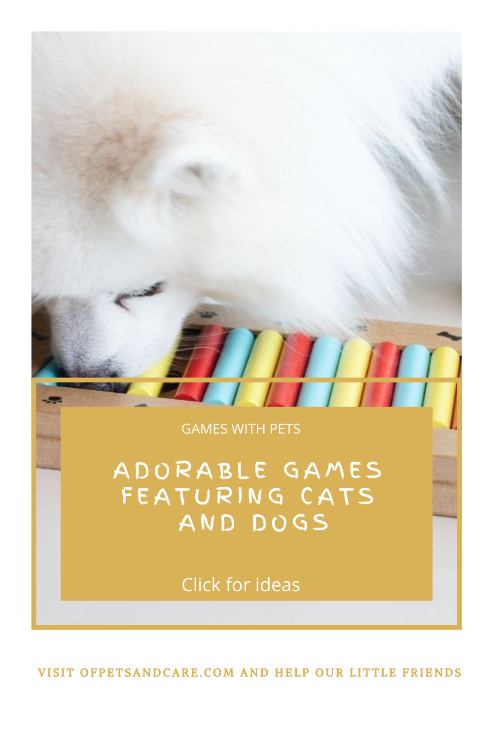Adorable Games Featuring Cats and Dogs