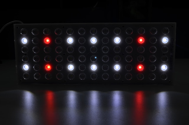 Sewa Led Semarang 0856.4020.3369 spesialis persewaan dan rental led Jakarta, Semarang, Bandung, Surabaya, dan Medan | Trik Memilih Led Dari Layanan Jasa Sewa INDOLED Pro Sewa Led Semarang 0856.4020.3369 spesialis persewaan dan rental led Jakarta, Semarang, Bandung, Surabaya, dan Medan | Trik Memilih Led Dari Layanan Jasa Sewa INDOLED Pro