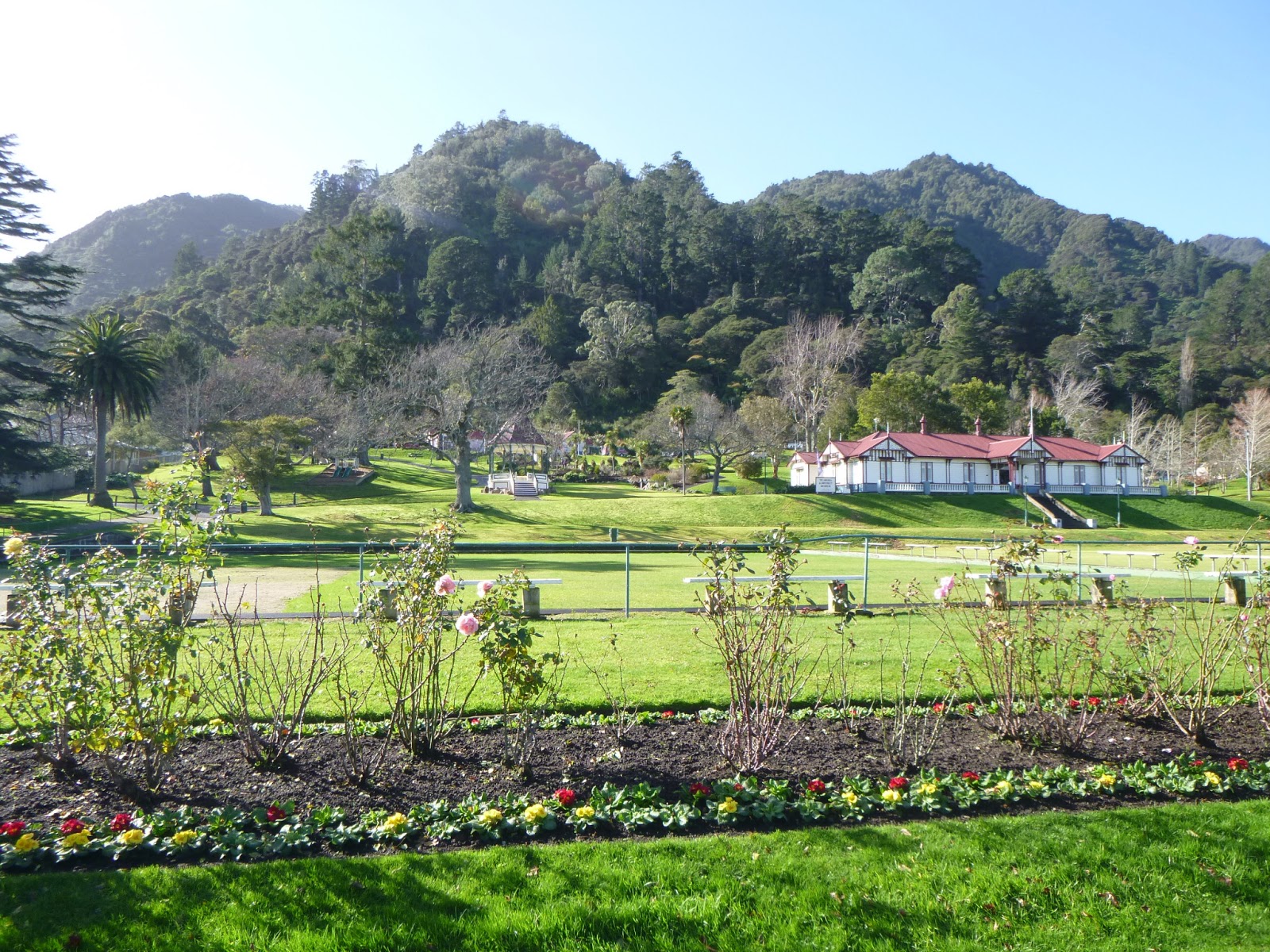 Horizonterweiterung Expanding our Horizon Climbing Te Aroha Mountain