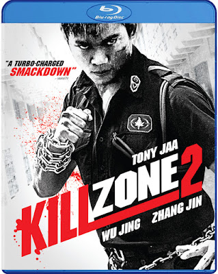 Kill Zone 2 2015 Dual Audio 720p BRRip 650Mb HEVC x265