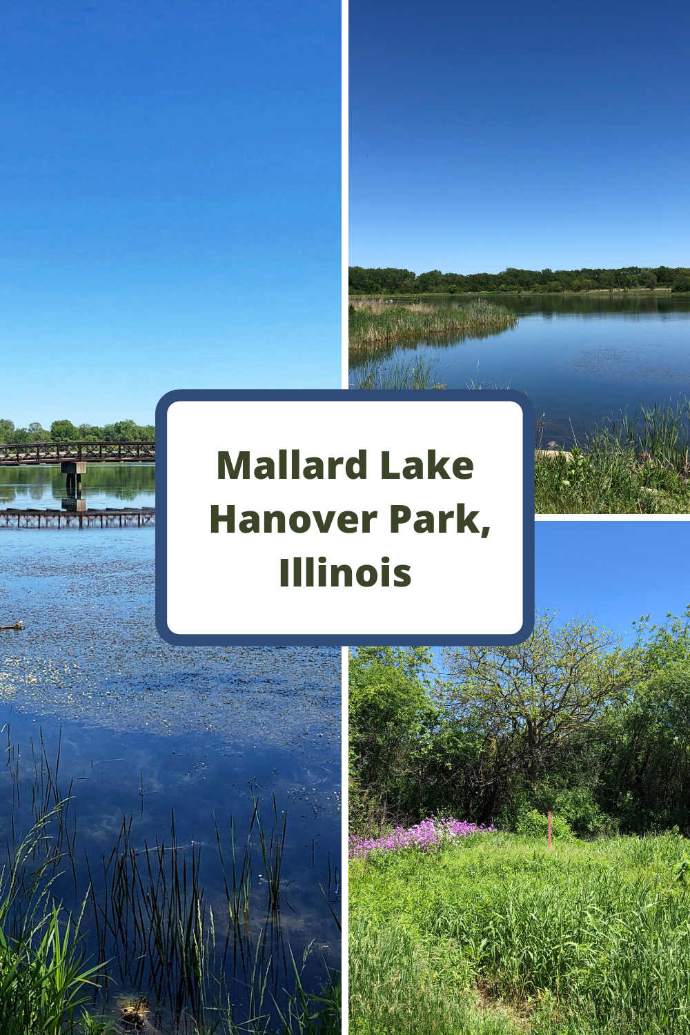 A Little Time and a Keyboard Mallard Lake in Hanover Park, Illinois Eases the Mind with