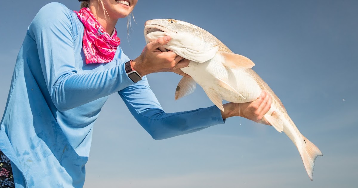 4 of the Best Eating Saltwater Fish in Florida and Where to Catch Them