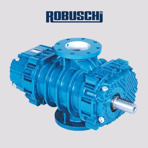 Máy thổi khí Robuschi