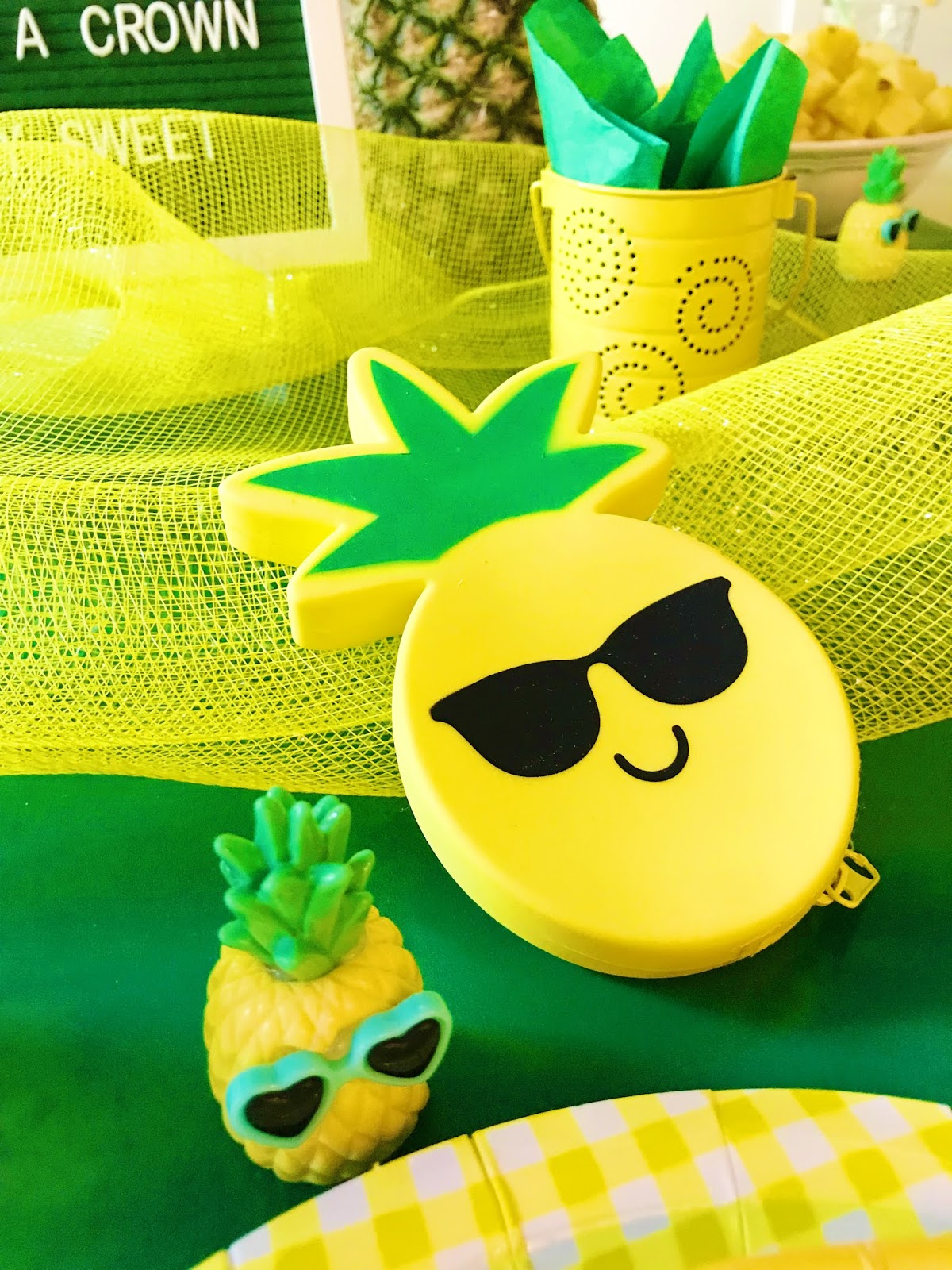 michelle paige blogs Pineapple Party