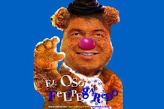 EL OSO FELIPEGAREDO