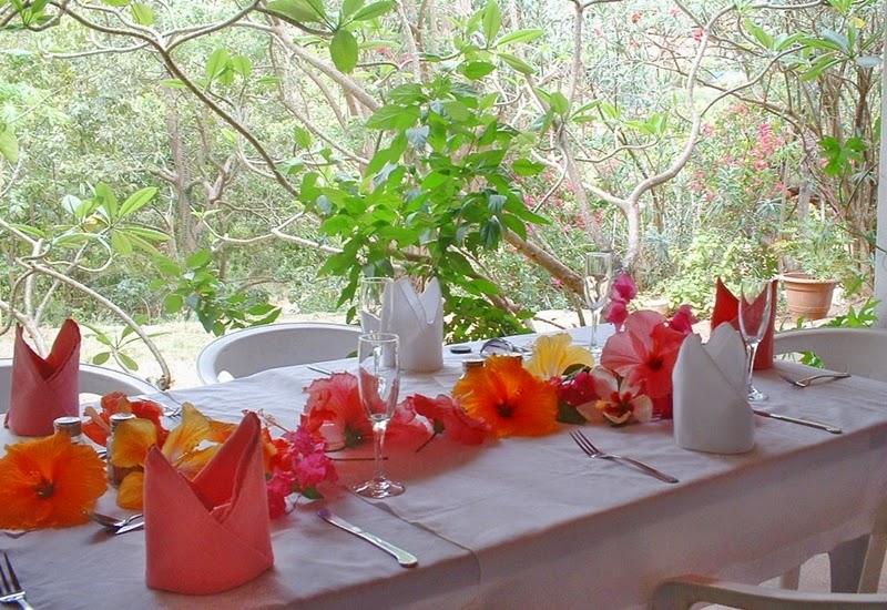 tropical brunch british virgin islands