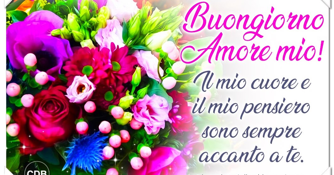 Esplorando Cartoline CDB Cartolina 🌿🌸🌼🌸🌿 BUONGIORNO AMORE MIO! Il mio