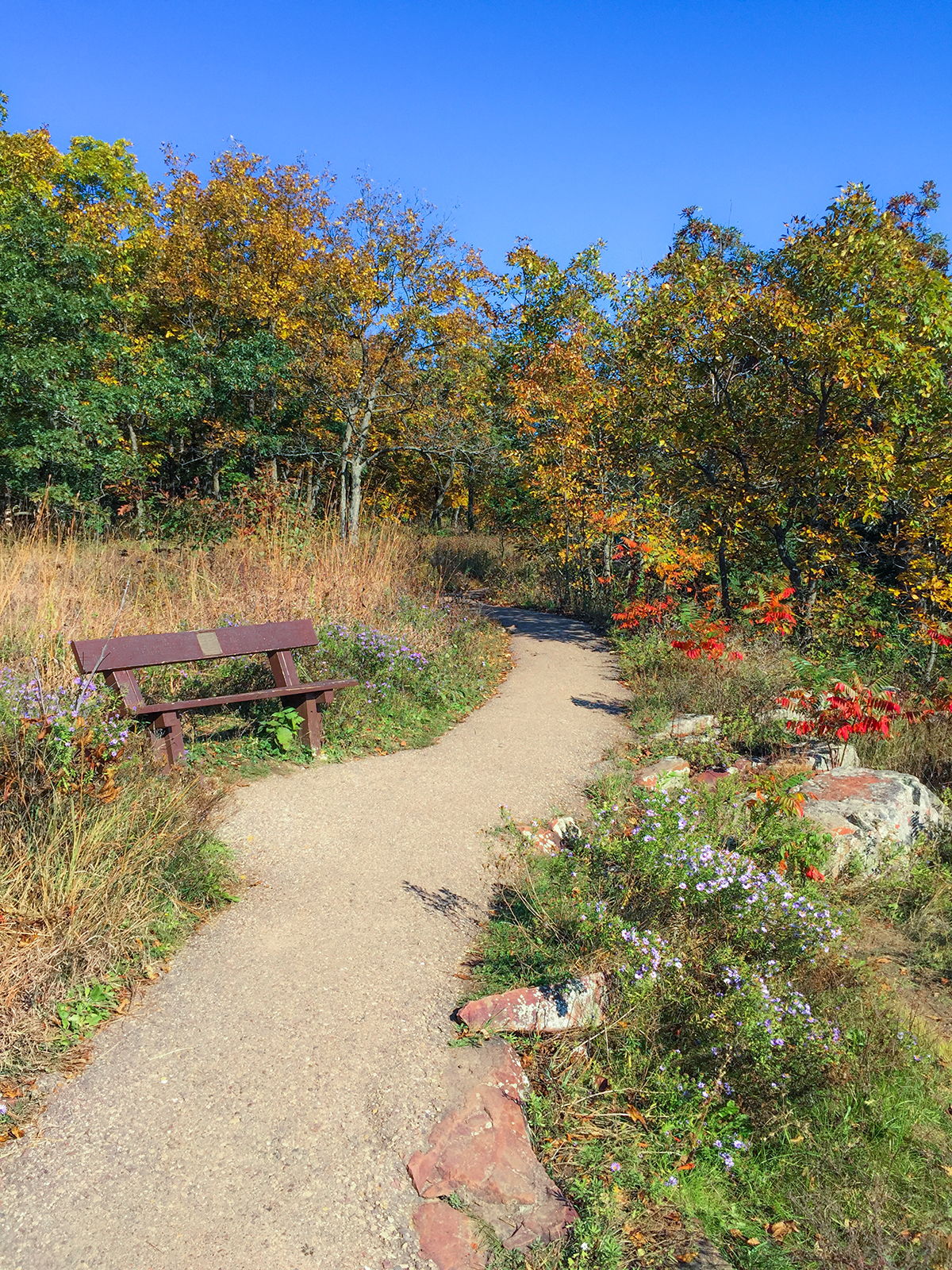 East Bluff Trail at Devil's Lake State Park