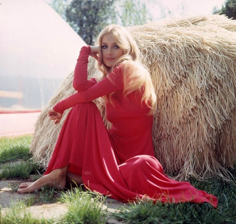 45 Stunning Photos of Barbara Bouchet in the 1960s and 1970s Vintage