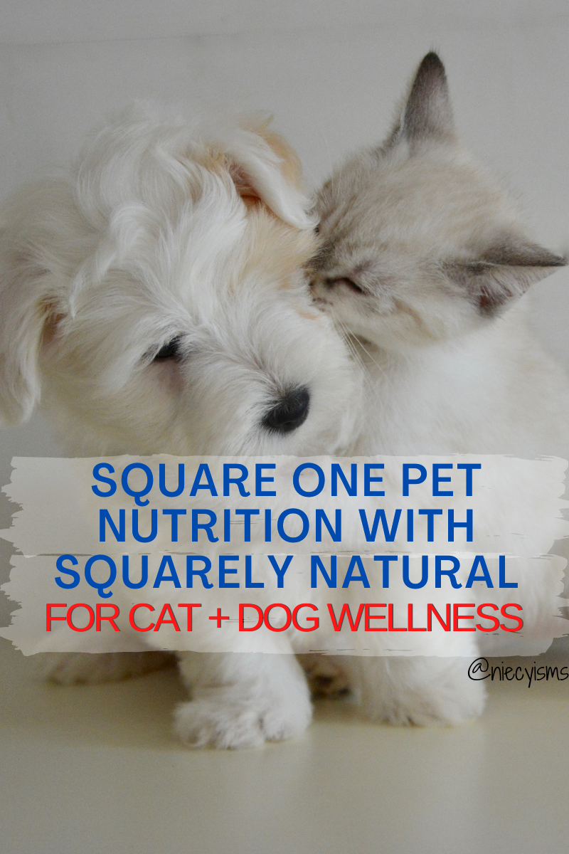 Square One Pet Nutrition with Squarely Natural for Cat + Dog Wellness