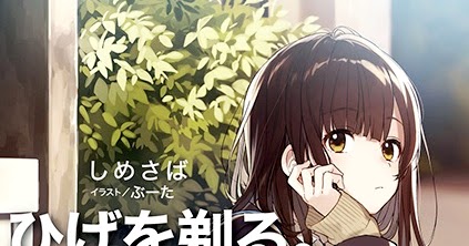 Light novel “The New Gate” recebe adaptação para anime - AnimeNew