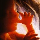 Prayer for the Baptism of Aborted Babies