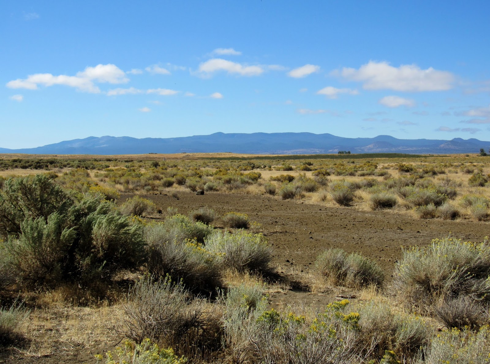 California's Cascade Volcanoes: Medicine Lake Highland & Lava Beds