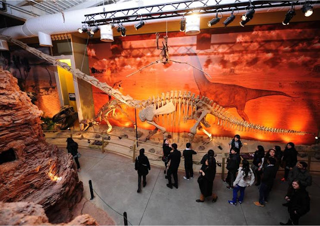 متحف الدينصورات