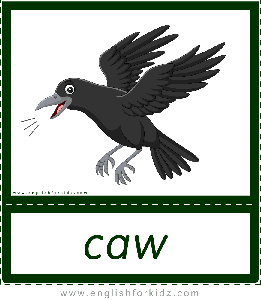 Ворон звуки и буквы. Crow Flashcards. CAW CAW. Crow Flashcard. CAW Flashcards.