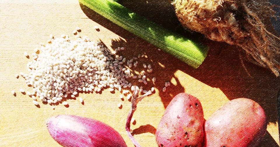 Barley Broth (1890) Remembering the Past Australia