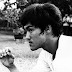 Os escritos de Bruce Lee sobre força de vontade, emoção, razão, memória, imaginação e confiança.