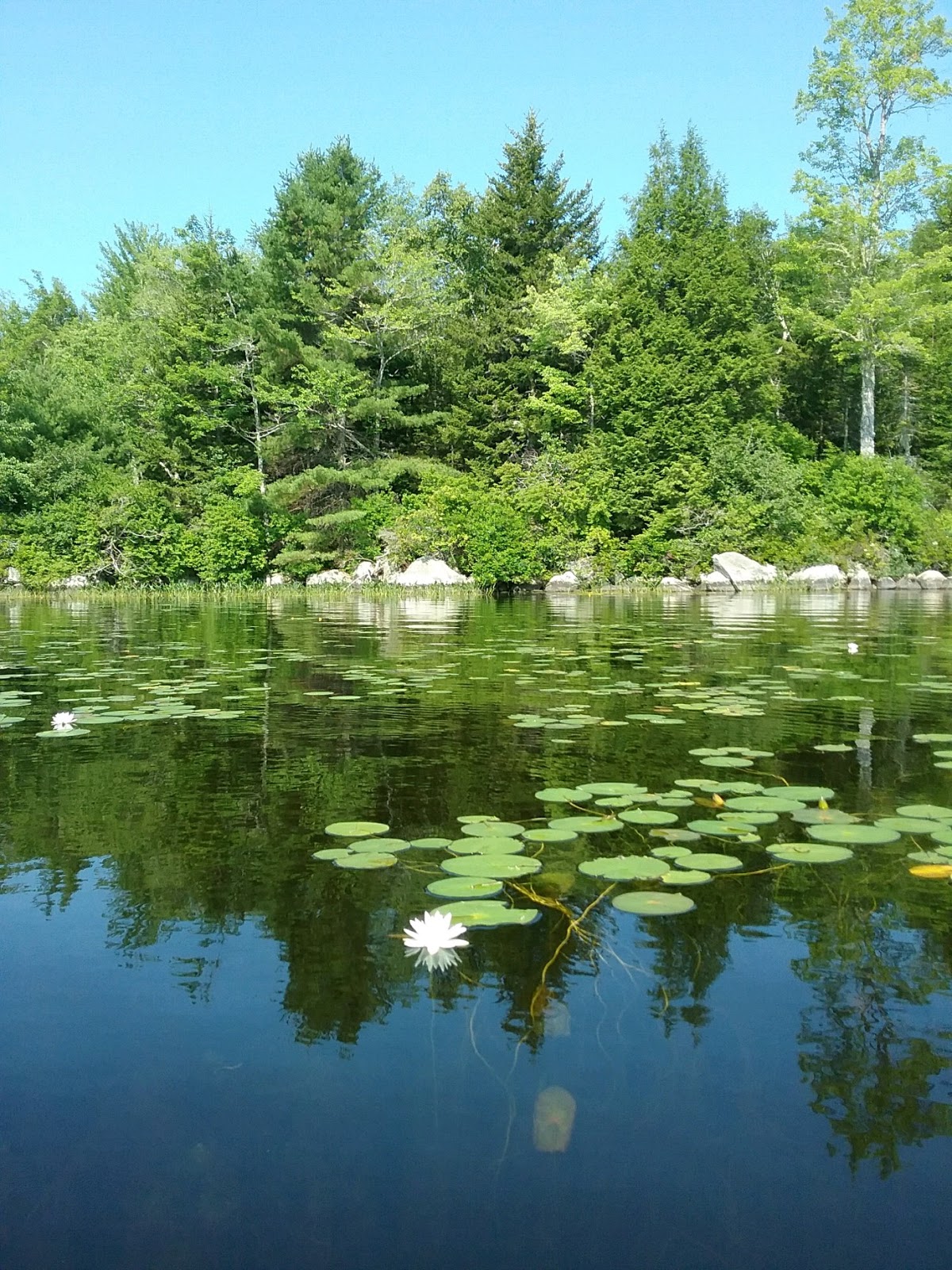 mkadventures Our 5 1/2 months exploring Maine and Acadia National Park