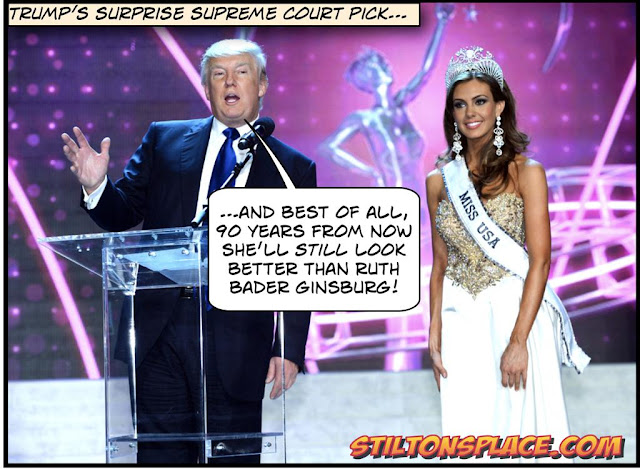 stiltonâs place, stilton, political, humor, conservative, cartoons, jokes, hope nâ change, supreme court, nominee, trump, lefty lucy, ginsburg, kennedy