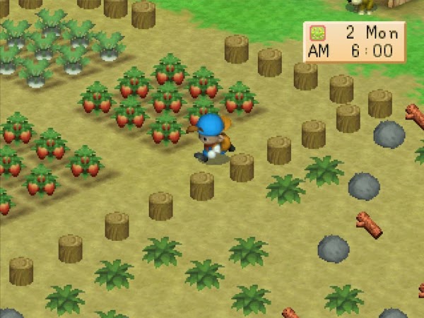 Harvest Moon Portable Version