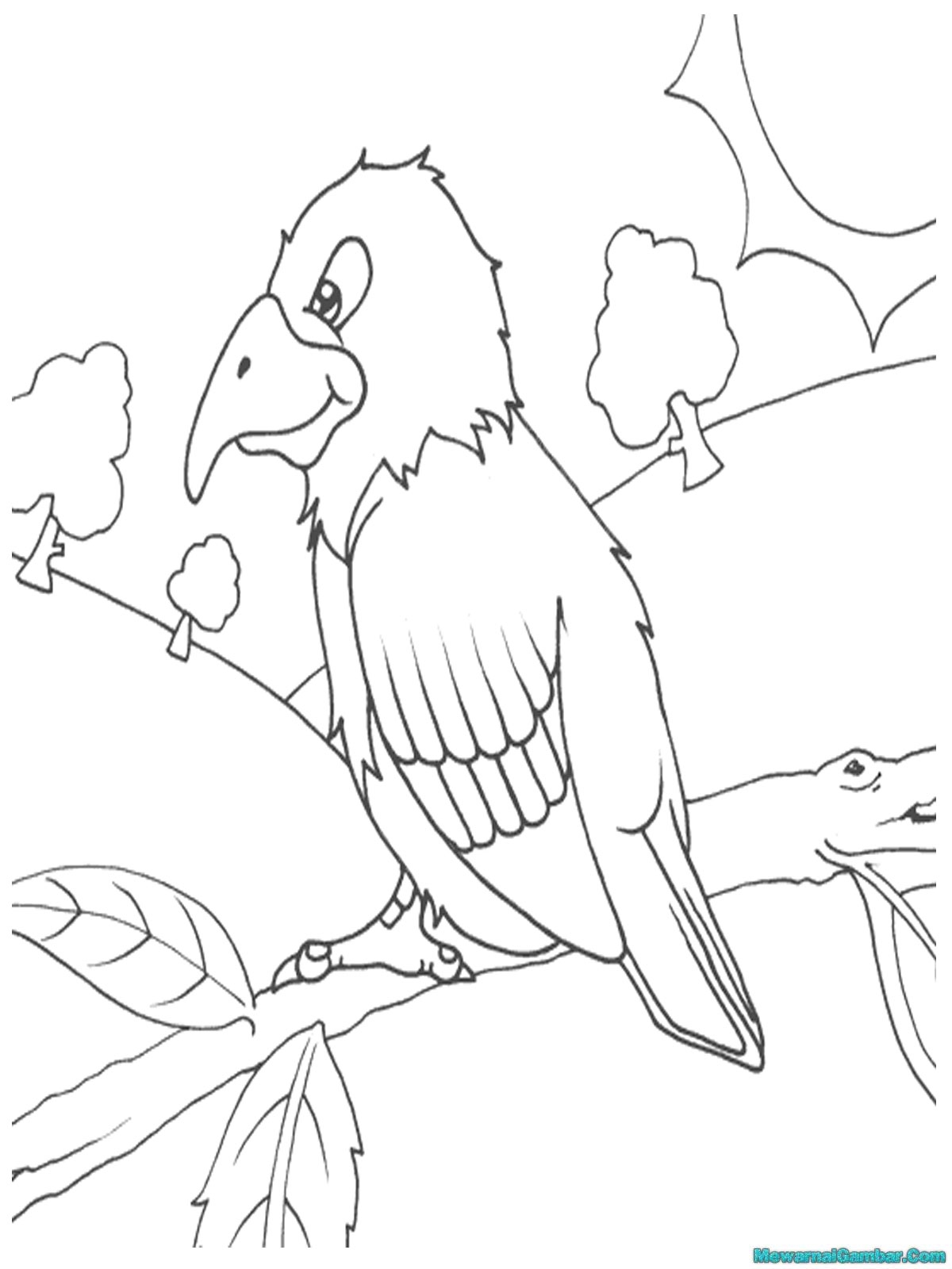 Download 15 Gambar Burung Untuk Diwarnai Mewarnai Gambar
