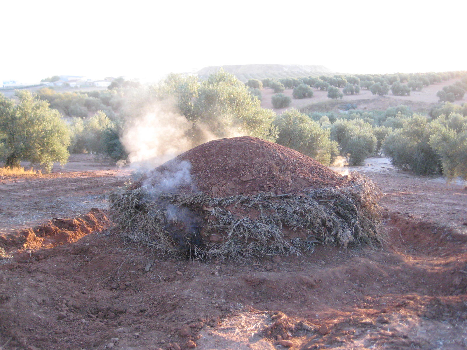 CRÓNICAS DE CASARICHE 2: Hornos de Carbón