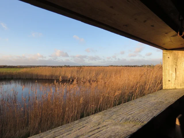 Viewing window of a birdwatching hide at the Wexford Wildfowl Reserve
