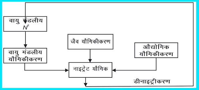 11 class Geography Notes In Hindi Chapter 15 Life on 11 class Geography Notes In Hindi Chapter 15 Life on