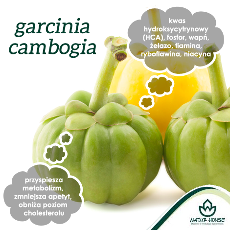 garcinia cambogia wikipedia polska garcinia cambogia wikipedia polska
