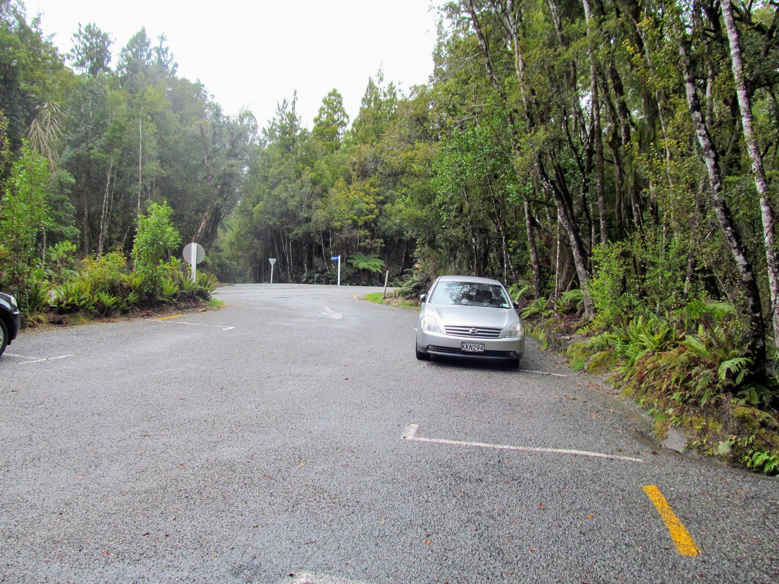 Tramping in the New Zealand backcountry NZ Bush Adventures Hokitika