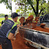 Jogging Track Armed 12/Kostrad, Kawasan One Stop Samapta Pertama di Kabupaten Ngawi