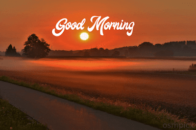Good Morning HD Images, Pictures, Photos, Pics, Gif, Wallpapers For WhatsApp Status Free Download